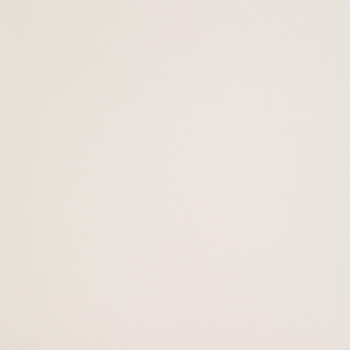 ICON WHITE 120.jpg